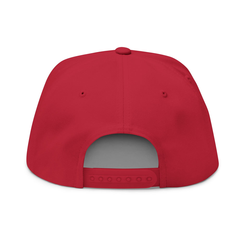 "make aliens great again" Embroidered Snapback