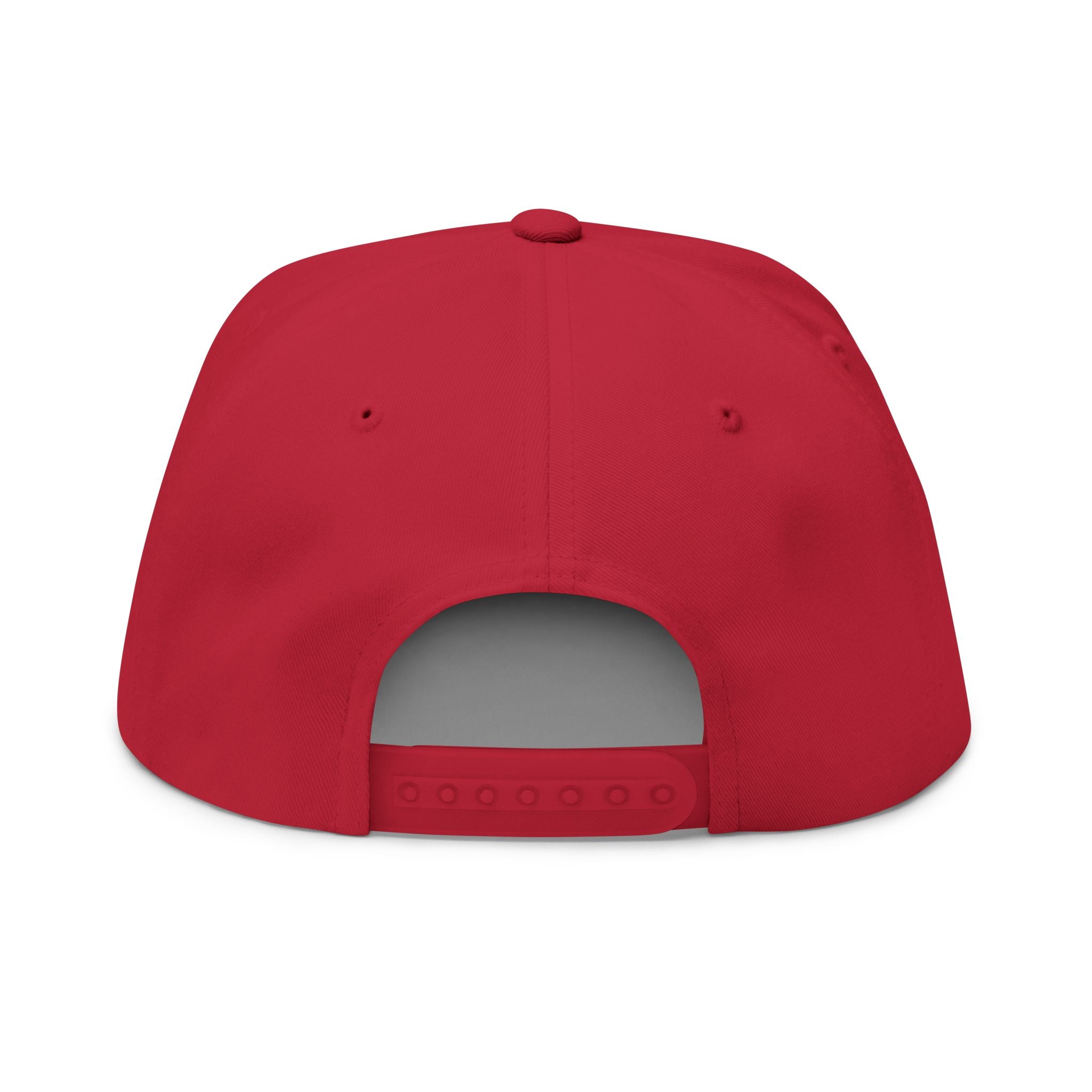 "make aliens great again" Embroidered Snapback